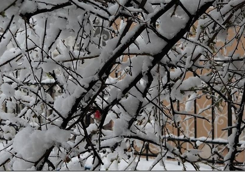 Στα λευκά η όμορφη Αμφίκλεια (pics)