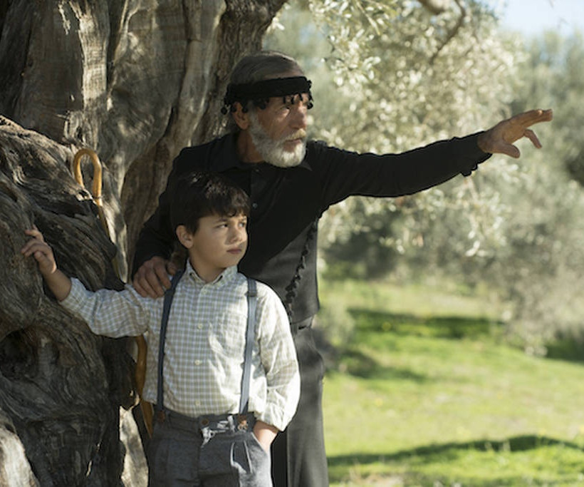 Η Creta Farms Δοξάζει το Ελαιόλαδο με έναν Ύμνο στις Ρίζες Όλων Μας