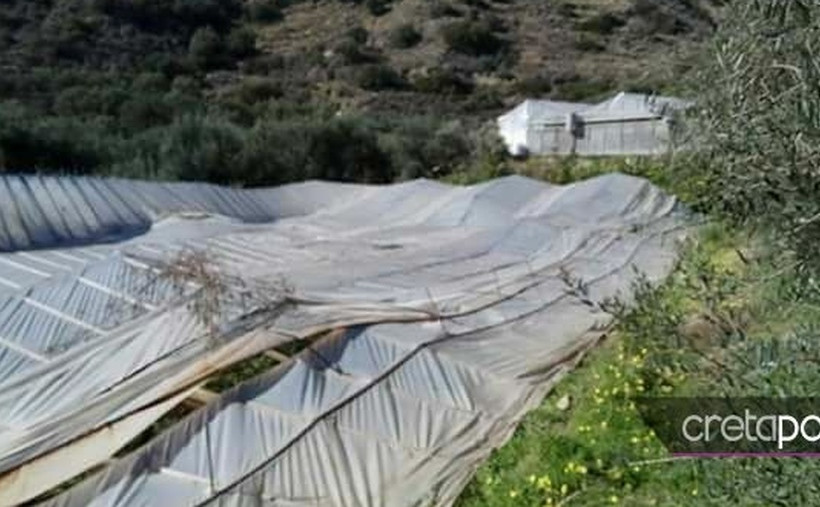 Ιεράπετρα: Τεράστια καταστροφή στις καλλιέργειες από την κακοκαιρία (pics)