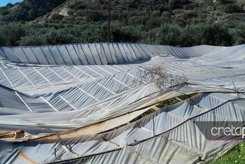 Ιεράπετρα: Τεράστια καταστροφή στις καλλιέργειες από την κακοκαιρία (pics)