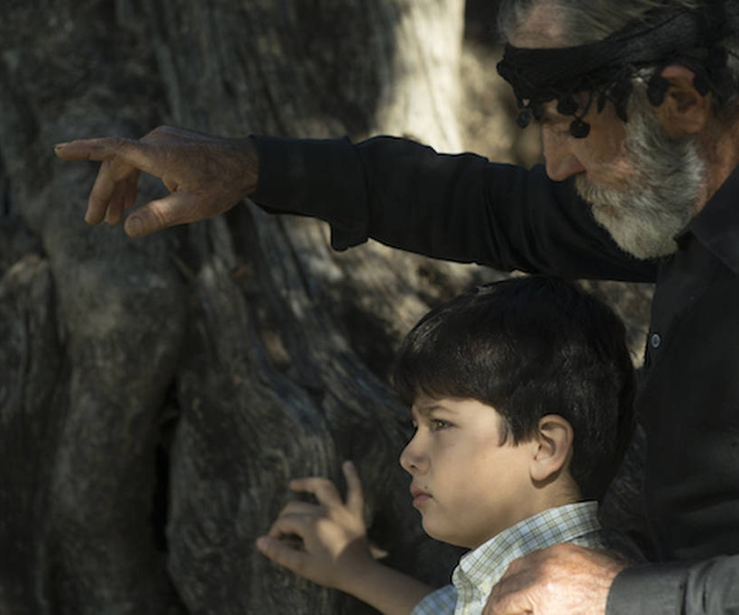 Η Creta Farms Δοξάζει το Ελαιόλαδο με έναν Ύμνο στις Ρίζες Όλων Μας