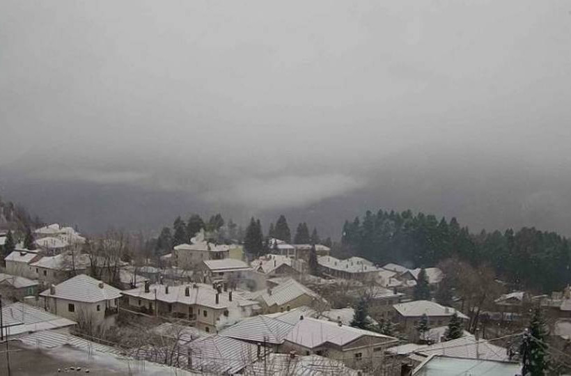 Ελάτη Τρικάλων