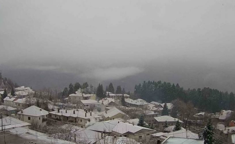 Ελάτη Τρικάλων