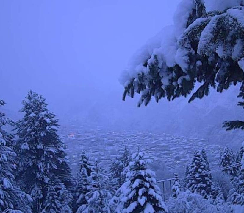 Θεοδώριανα Άρτας