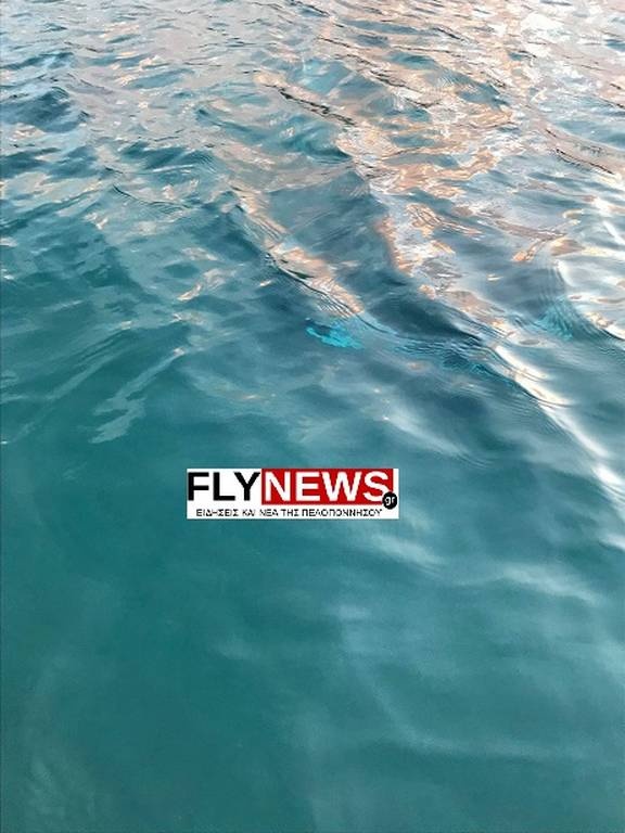 Λακωνία: Φωτογραφίες - ΣΟΚ: Καρέ - καρέ η ανάσυρση του αυτοκινήτου του νεκρού Αρχιμανδρίτη