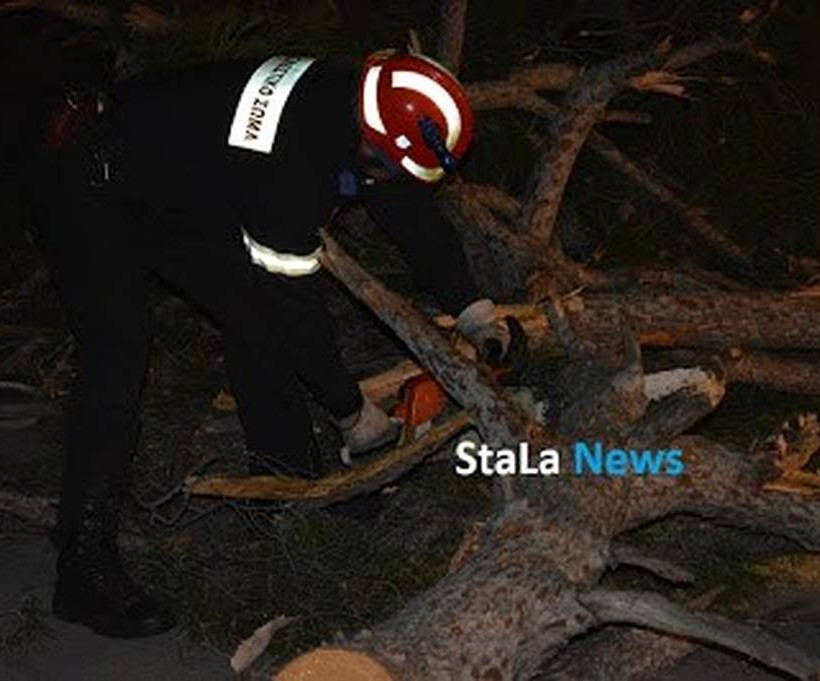 Οι θυελλώδεις άνεμοι σάρωσαν το Ναύπλιο – Ξεριζώθηκαν δέντρα, έσπασαν τζαμαρίες και τραπέζια
