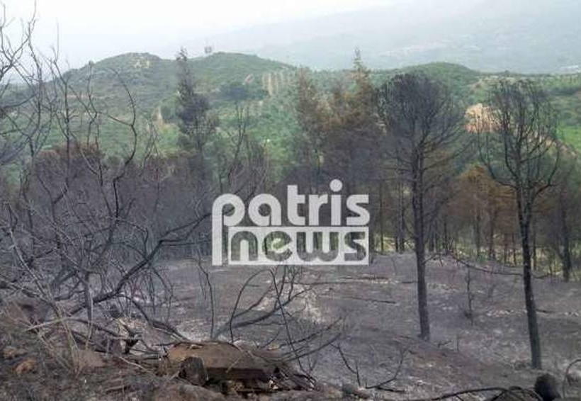 Ηλεία: Νέα αναζωπύρωση της φωτιάς στη Φρίξα - Δίνουν «μάχη» οι πυροσβέστες (pics&vids)