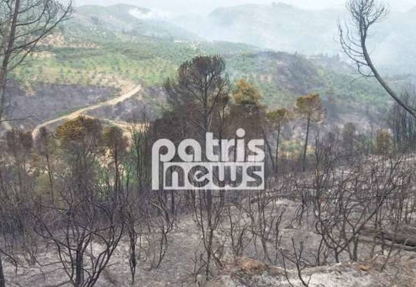 Ηλεία: Νέα αναζωπύρωση της φωτιάς στη Φρίξα - Δίνουν «μάχη» οι πυροσβέστες (pics&vids)
