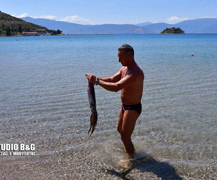 Ναύπλιο: Κολυμπούσαν στη θάλασσα όταν ξαφνικά… 