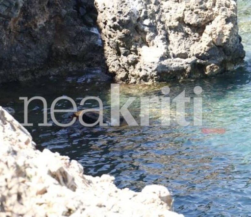 Τραγωδία: Νεκρός ο Μανόλης Κοκολάκης (pics)
