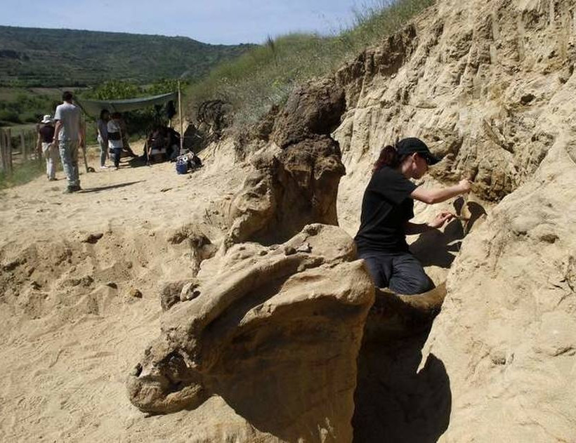 Βρέθηκε προϊστορικός ελέφαντας 8 εκατ. ετών!