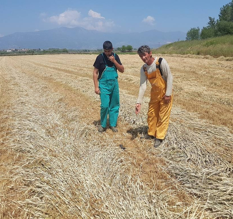 Ξάνθη: Η επόμενη μέρα της καταστροφικής πυρκαγιάς στο εργοστάσιο μπαταριών στο Νέο Όλβιο (pics)