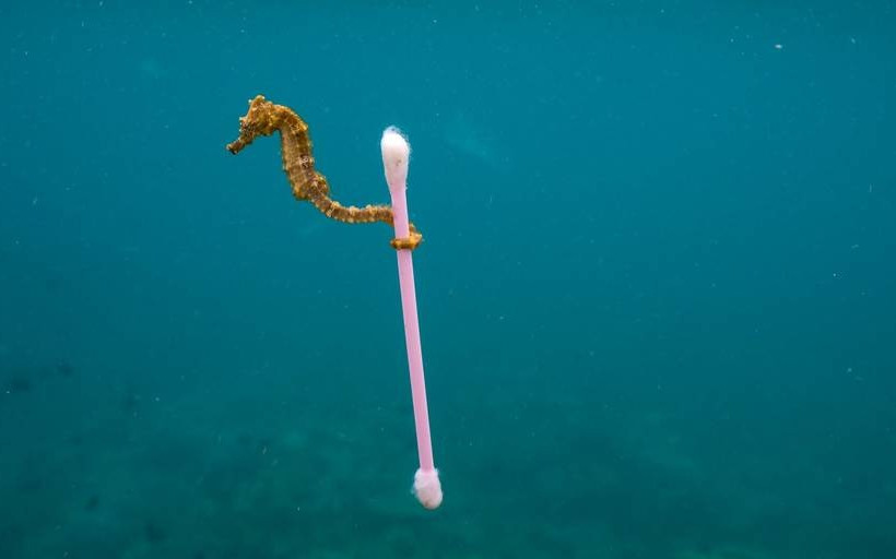 National Geographic: «Πλανήτης ή πλαστικό;»