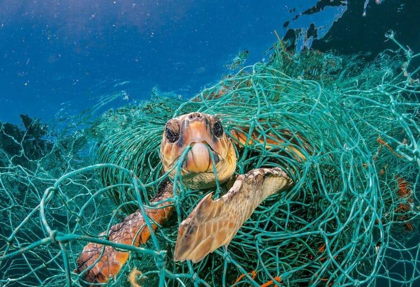 National Geographic: «Πλανήτης ή πλαστικό;»