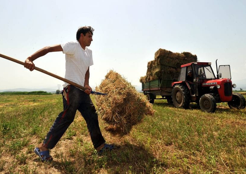ΟΠΕΚΕΠΕ: Στους λογαριασμούς αγροτών και κτηνοτρόφων 6 εκατ. ευρώ