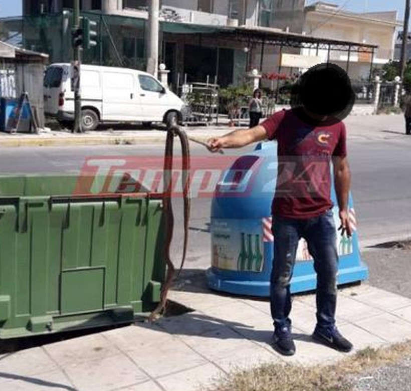 Πάτρα: Φίδι 2,5 μέτρων σε κατοικημένη περιοχή προκάλεσε πανικό 