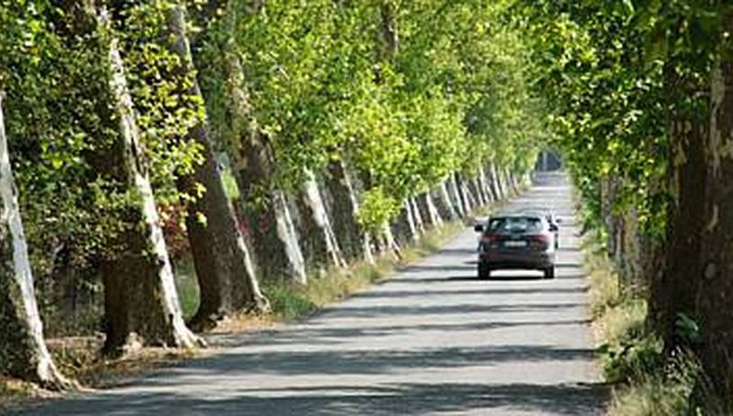 Έρευνα: Οι Έλληνες είναι οι πιο απείθαρχοι οδηγοί της Ευρώπης 