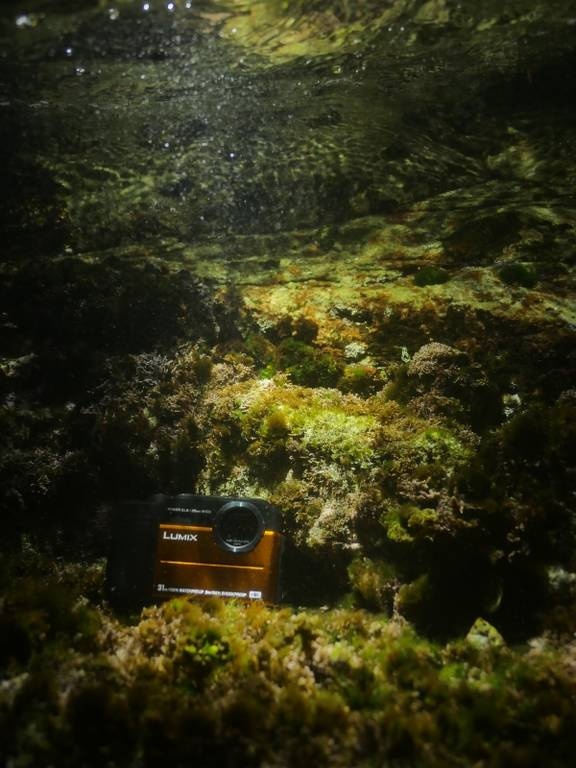 Καλές βουτιές παρέα με τις αδιάβροχες φωτογραφικές μηχανές της Panasonic!