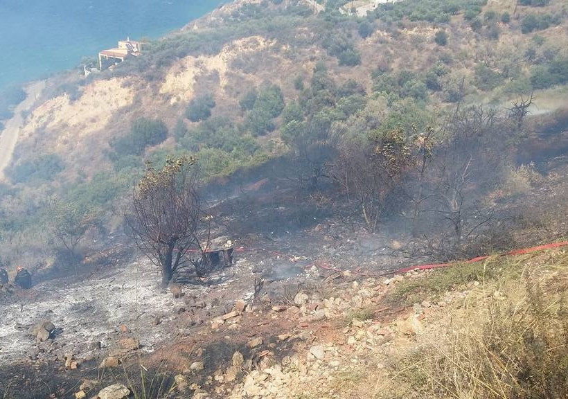 Φωτιά ΤΩΡΑ στην Κρήτη (pics+vid)