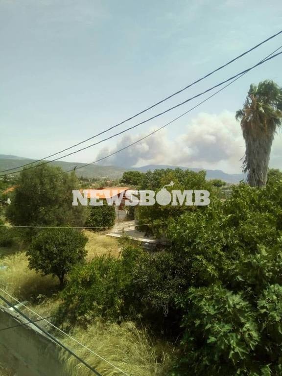 Φωτιά ΤΩΡΑ στην Κινέτα - Συγκλονιστικές εικόνες