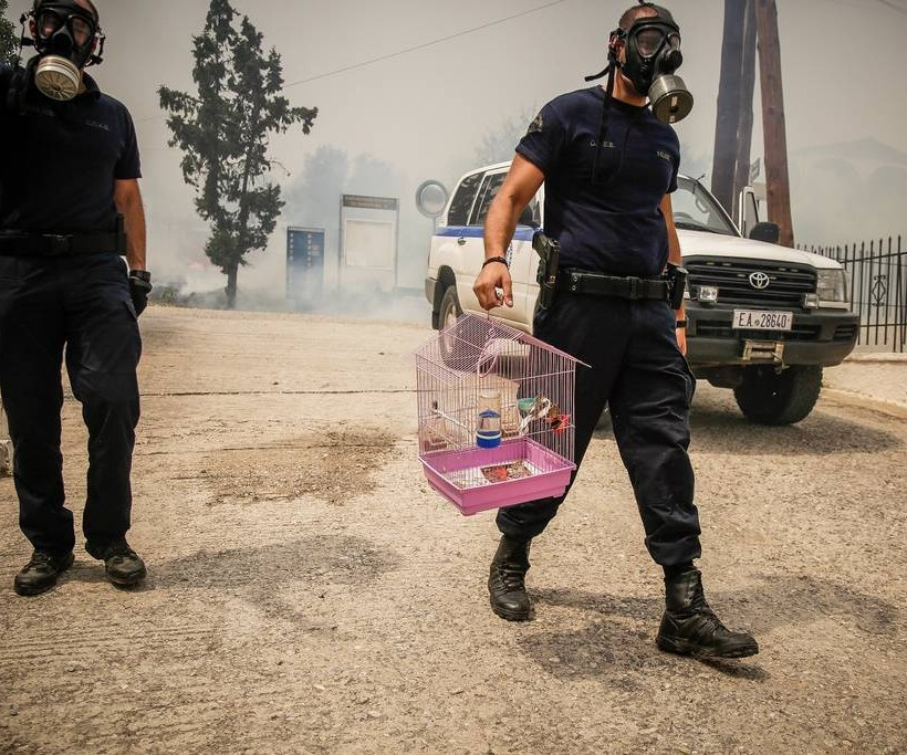 Φωτιά ΤΩΡΑ στην Πεντέλη - Νέος συναγερμός στην Πυροσβεστική
