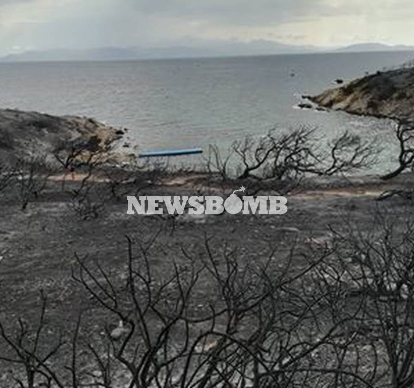 Φωτιά Αττική - Μαρτυρία σοκ: «Κολυμπούσα επί τέσσερις ώρες ανάμεσα σε πτώματα φίλων μου»