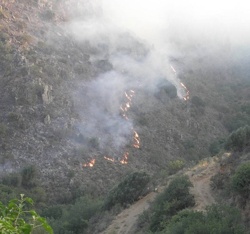 Φωτιά Χανιά: Σε τρία μέτωπα μαίνεται η πυρκαγιά στον Κακόπετρο (pics)