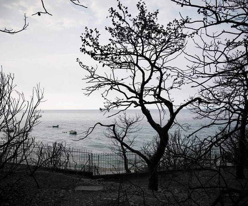 Φωτιά τώρα – Ανατριχιαστική μαρτυρία: «Είδα ένα κορίτσι να καίγεται και να πηδάει από τον γκρεμό»