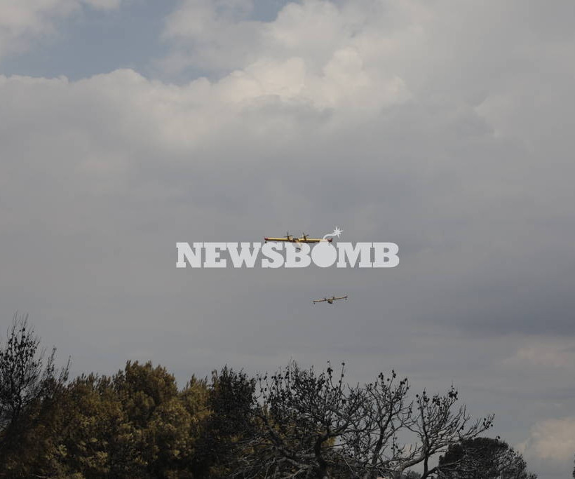 Φωτιά Μάτι: Πόνος και θλίψη - Οι συγκλονιστικές ιστορίες ανθρώπων που είδαν τους δικούς να χάνονται