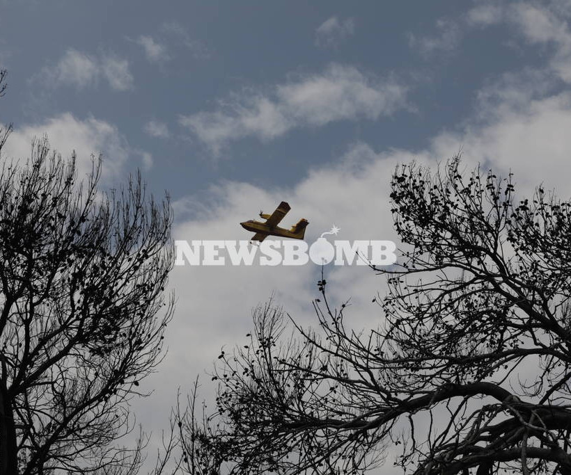 Φωτιά Μάτι: Πόνος και θλίψη - Οι συγκλονιστικές ιστορίες ανθρώπων που είδαν τους δικούς να χάνονται
