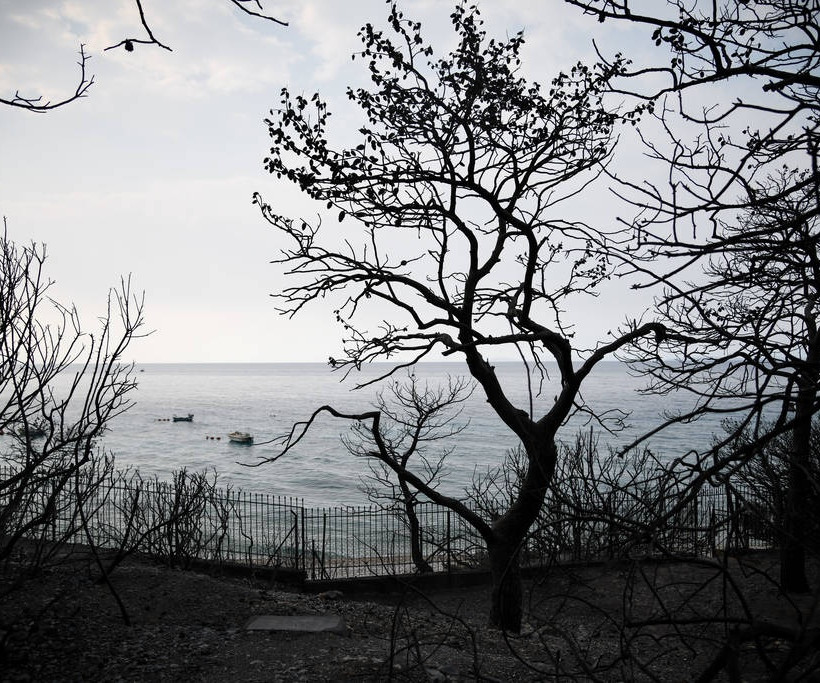 Δύο Πολωνοί μεταξύ των νεκρών από τις πυρκαγιές στην Αττική