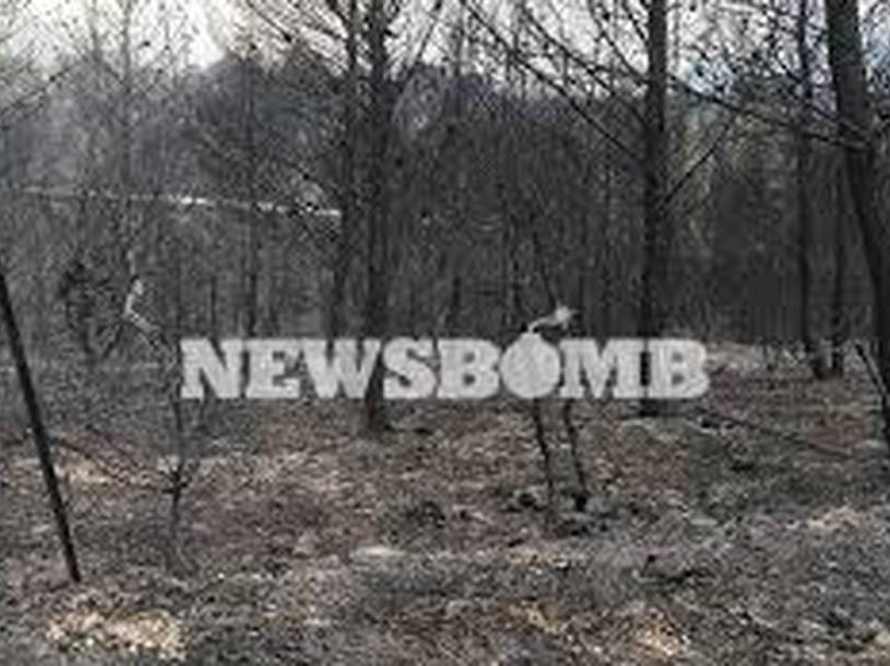 Φωτιά Μάτι: Δύο συντάξεις στους πυρόπληκτους 