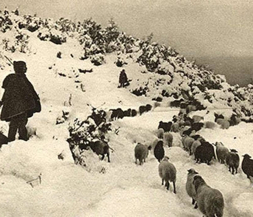 Όλυμπος: Γιατί η Google αφιερώνει το σημερινό της doodle στο «μυθικό» ελληνικό βουνό 