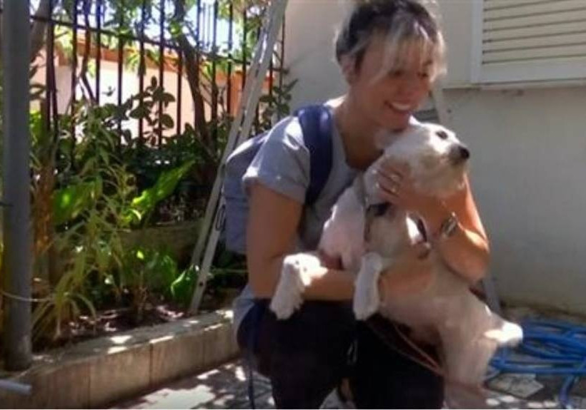 Φωτιά Μάτι: Παγκόσμια συγκίνηση για τον… Λουκουμάκη που βρέθηκε ζωντανός στα αποκαΐδια (video)