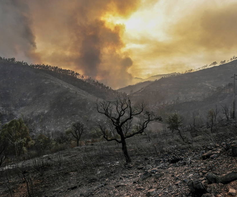 Βορειοαφρικανικός καύσωνας «ψήνει» την Ευρώπη (pics+vids)
