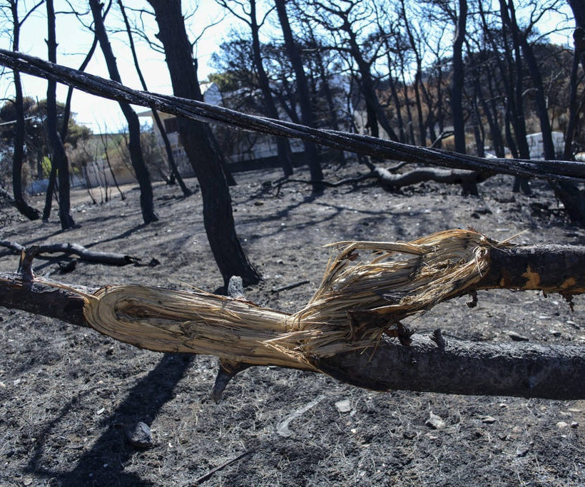 Φωτιά Μάτι: Εξάωρη αυτοψία των εισαγγελέων – Ζήτησαν άρση τηλεφωνικού απορρήτου