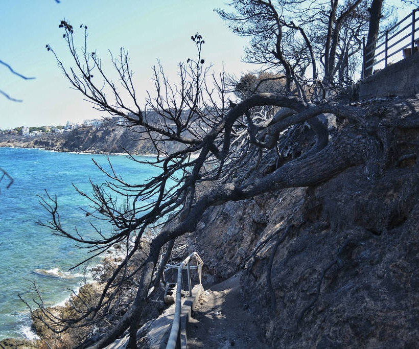 Φωτιά Μάτι: Εξάωρη αυτοψία των εισαγγελέων – Ζήτησαν άρση τηλεφωνικού απορρήτου