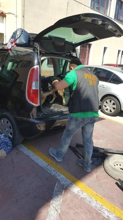 Άρτα: Ο σκύλος ξετρύπωσε 53 κιλά χασίς (pics)