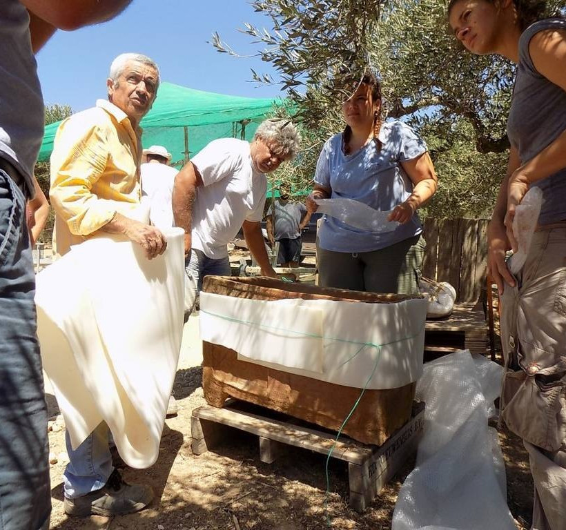 Κρήτη: Τεράστιος θησαυρός σε χωράφι με ελιές! Δεν πίστευαν στα μάτια τους! (pics)