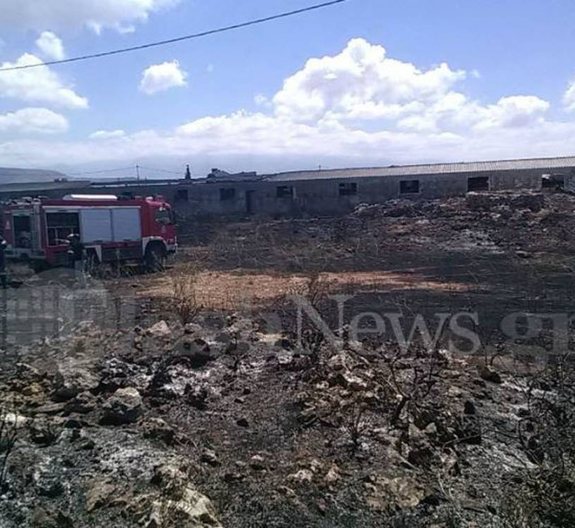 Φωτιά στην περιοχή Κορακιές Χανίων (pics)
