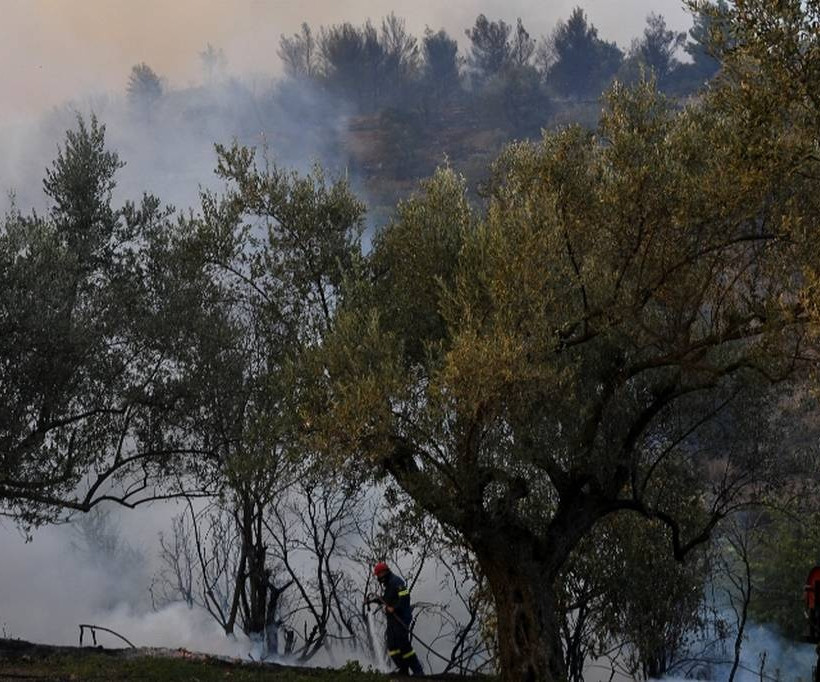 Φωτιά Εύβοια: Σε ύφεση η μεγάλη πυρκαγιά που κατέκαψε χιλιάδες στρέμματα