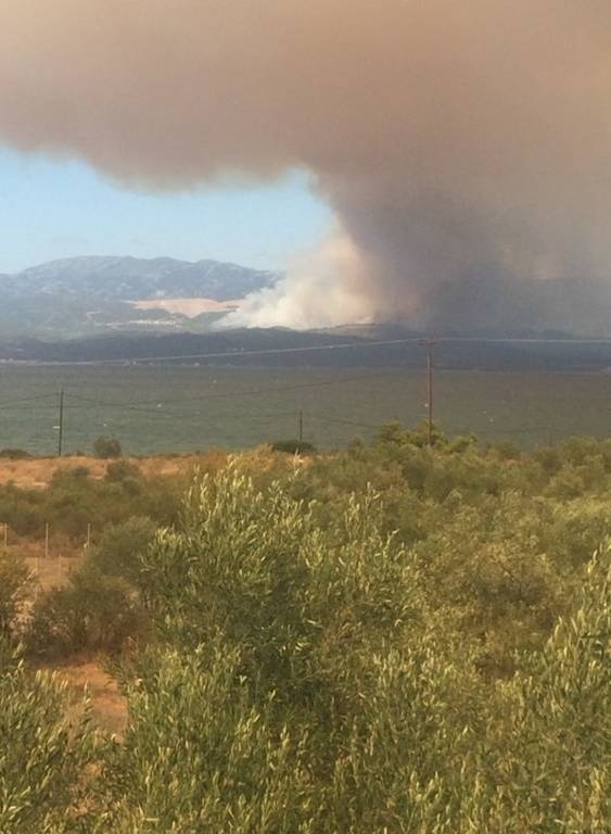 Φωτιά Εύβοια: Σε ύφεση η μεγάλη πυρκαγιά που κατέκαψε χιλιάδες στρέμματα