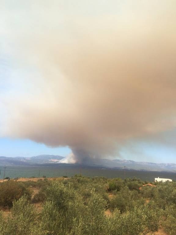 Φωτιά Εύβοια: Σε ύφεση η μεγάλη πυρκαγιά που κατέκαψε χιλιάδες στρέμματα