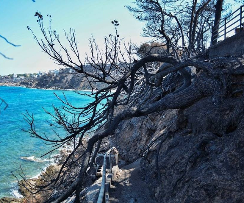 Ραγδαίες εξελίξεις: Μήνυση της οικογένειας Φύτρου κατά Σκουρλέτη και Τόσκα για τη φονική πυρκαγιά