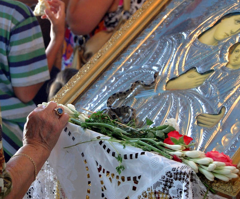 Κεφαλονιά: Εμφανίστηκαν και φέτος τα φιδάκια της Παναγίας 