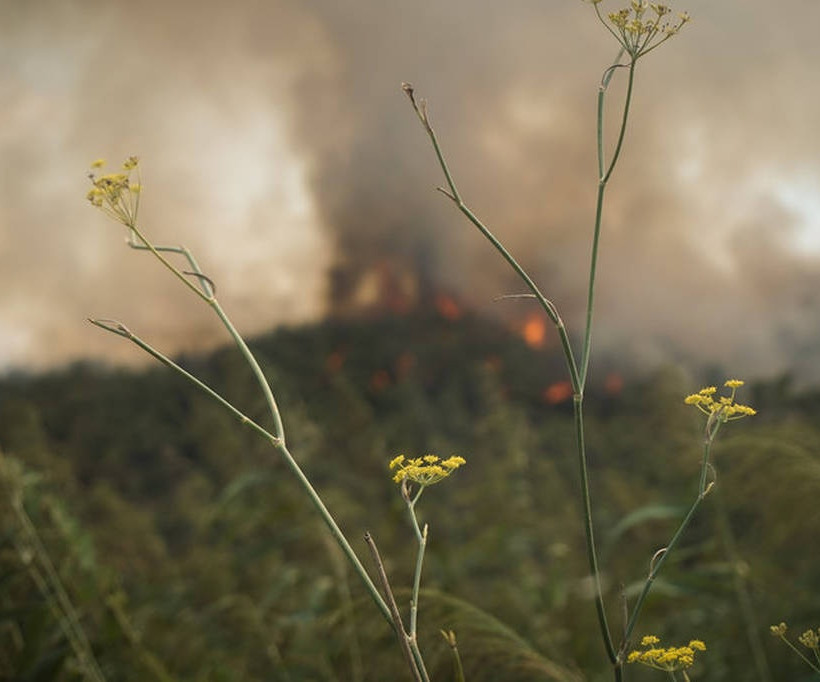 Δύο πυρκαγιές καίνε την Ηλεία: Νέα εστία φωτιάς απειλεί τα χωριά Ανάληψη και Γεράκι