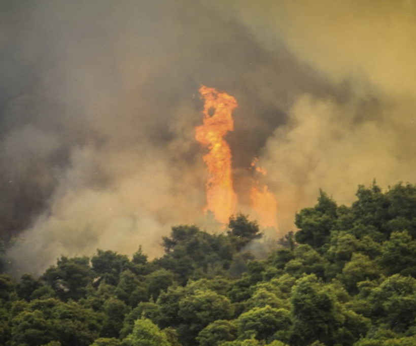 Φωτιά στην Αμαλιάδα: Σε χαράδρα δίνουν οι Πυροσβέστες τη μάχη με τις φλόγες 
