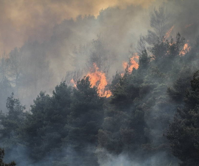 Φωτιά στην Αμαλιάδα: Σε χαράδρα δίνουν οι Πυροσβέστες τη μάχη με τις φλόγες 
