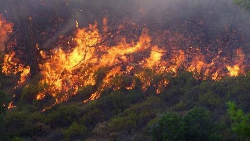 Σε ύφεση η φωτιά στη Δαφνιώτισσα Αμαλιάδας