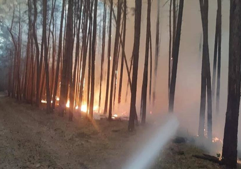 Φωτιά Γερμανία: Τεράστια πυρκαγιά 50 χλμ από το Βερολίνο – Εκκενώνονται κατοικημένες περιοχές (Pics)
